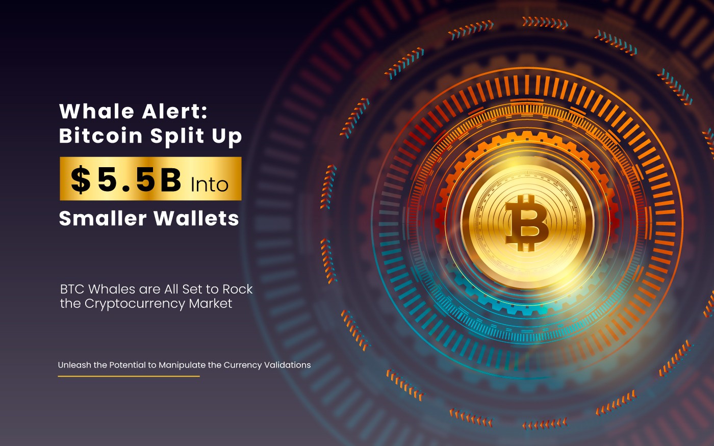 Whale Alert: Bitcoin Split Up $5.5B Into Smaller Wallets