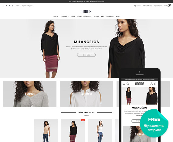 best ecommerce themes for ecommerce store