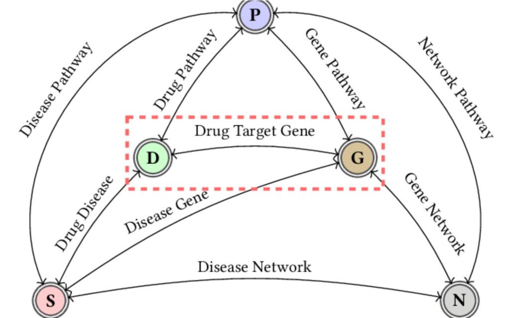 Biomedical knowledge graph. 