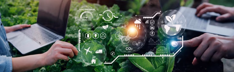 Successive Digital X Growers: Advancing Agricultural Supply Chain Solutions