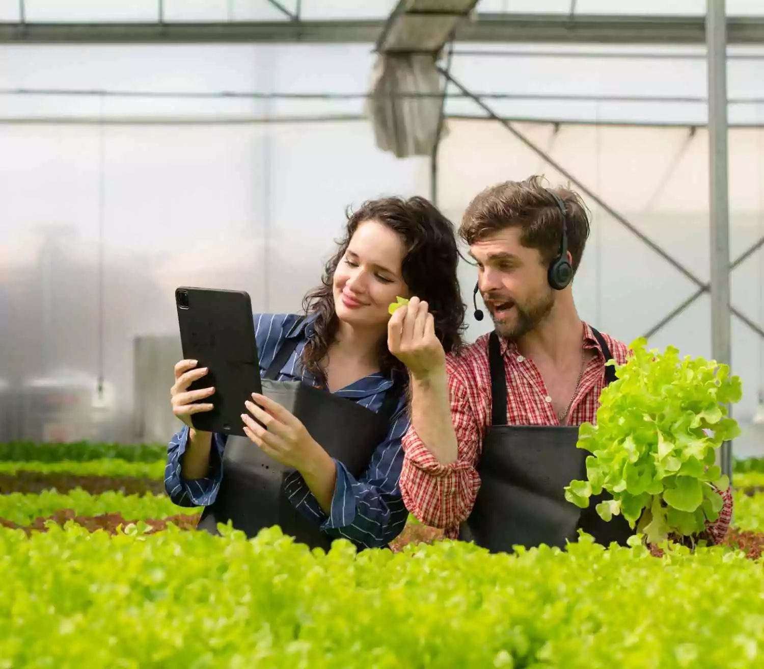 Enhancing Customer Experience for a Leading Agritech Business