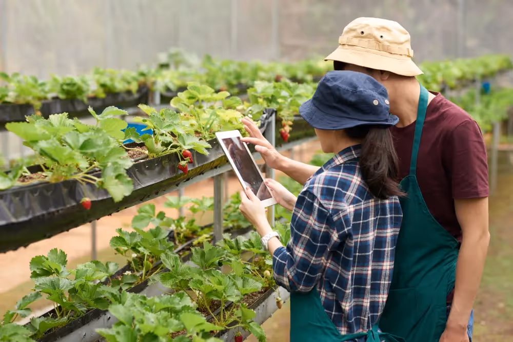 Elevating Customer Experience for a Leading Agritech Business