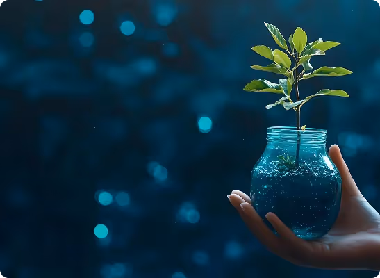 Sustainable Profitability